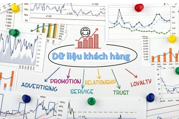 Data khách hàng rất quan trọng với doanh nghiệp